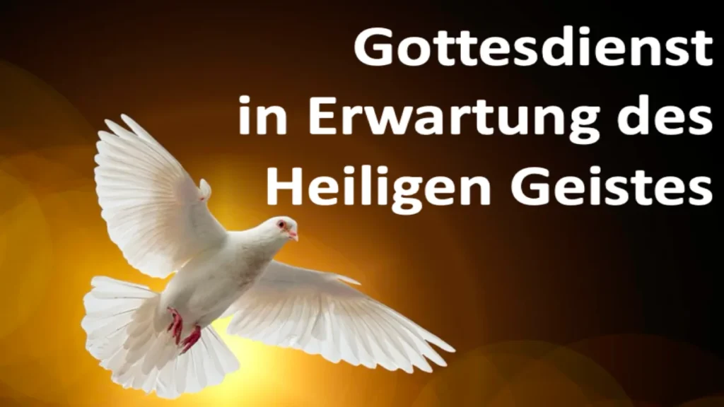 Bild zeigt eine weiße Taube, die vor einem Licht fliegt.