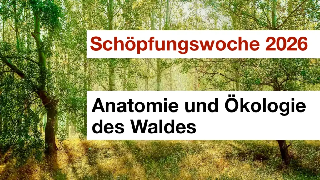 Das Bild zeigt einen Laubwald im Sonnenlicht. Text: "Schöpfungswoche 2026" und "Anatomie des Waldes".