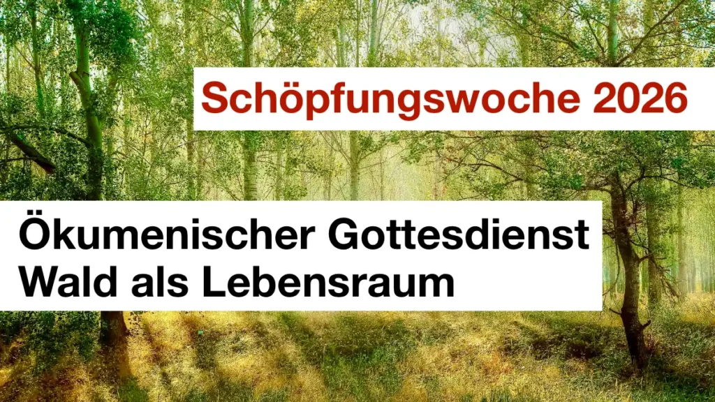 Das Bild zeigt einen Laubwald im Sonnenlicht. Text: "Schöpfungswoche 2026" und "Ökumenischer Gottesdienst".